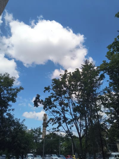 A low-angle, wide shot captures a bright, sunny day in Rivne, Ukraine, with a clear blue sky dotted with fluffy white clouds. In the mid-ground, a tall, weathered industrial chimney stands against the sky, topped with antenna equipment. Lush green trees frame the scene, their branches reaching towards the sky and partially obscuring the view of the city below. A few small, dark birds are visible flying in the sky. In the foreground, the tops of several cars and white vans are parked on a street, suggesting an urban or suburban setting. The overall atmosphere is serene and ordinary, depicting a typical day in the city.