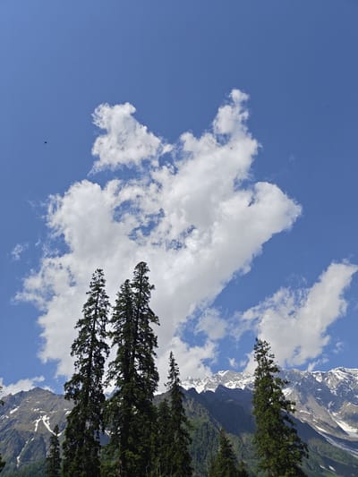 The image captures a serene mountain landscape under a vibrant blue sky dotted with fluffy white clouds. The foreground is dominated by tall, dark green coniferous trees, some of which are silhouetted against the sky. In the background, majestic snow-capped mountains rise, their rugged slopes partially covered in snow. The overall scene suggests a natural, unpopulated environment, possibly a remote area within or near Burwa, India. The presence of a few distant birds flying in the sky adds a touch of life to the expansive view. The lighting indicates it is daytime, with clear visibility and a bright, sunny atmosphere.