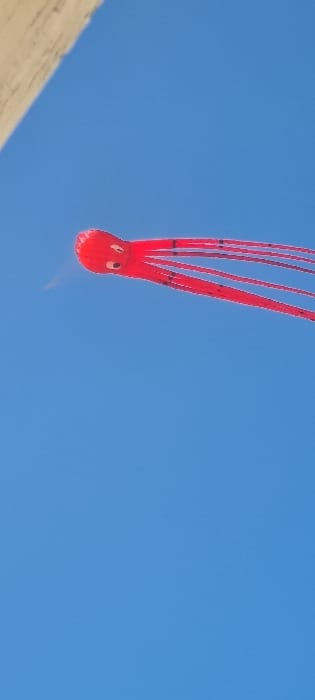 The image shows a red octopus-shaped kite flying in a clear blue sky. The kite is flying high in the sky, with its long tentacles trailing behind it. The kite is positioned in the top right corner of the image. The background is a clear blue sky. The image appears to be taken from a vantage point in Mihmoret, Israel. The coordinates provided are for a residential area in Mihmoret.
