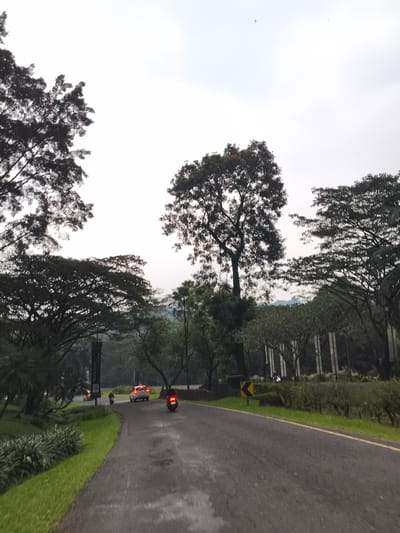 The image portrays a scenic, winding asphalt road traversing a lush green landscape in Babakan Madang, Indonesia. The sky is bright but overcast, suggesting either dawn or dusk on a cloudy day, which is reinforced by the dark, almost silhouetted appearance of the dense tree canopy overhead and lining both sides of the road.
The road surface appears damp, hinting at recent rain or high humidity. A yellow solid line marks the edge of the road on the right. In the mid-ground, a white car, with its red brake lights illuminated, is seen driving away from the viewer. It is followed by two motorcycles, also displaying their lit tail lights, suggesting the low light conditions or that vehicles are slowing down. On the right side of the road, partially obscured by greenery, a yellow chevron sign points left, indicating a bend in the road.
Tall, mature trees with extensive dark foliage dominate the scene, creating a natural archway over parts of the road. Beyond the immediate tree line, particularly on the right, some light-colored vertical structures resembling pillars or columns are visible. The overall setting is one of tranquility and natural beauty, characteristic of a drive through a well-maintained natural park or resort area. No discernible text is visible in the image.