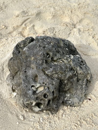 A close-up, overhead shot shows a rough, grey, porous rock resting on a bed of light-colored sand. The rock is irregular in shape and appears to be fossilized coral, given its textured surface and numerous holes and cavities. Some small white fragments, possibly shell or coral pieces, are embedded in the rock and scattered on the sand around it.
The sand exhibits subtle patterns and indentations, suggesting it has been disturbed, perhaps by the tide or footprints, though no human or animal presence is directly visible. The lighting appears to be natural, casting soft shadows that highlight the textures of both the rock and the sand. There is no visible text in the image. The scene suggests a natural, coastal environment, likely a beach in Phru Nai, Thailand, under daylight conditions. The overall impression is one of a quiet, natural setting with a focus on the textures and forms of beach elements.