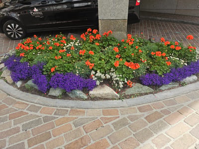 A black Mercedes-Benz Vito van with a "Crystal Hotel" logo on its side is parked next to a flowerbed in front of a building in St. Moritz, Switzerland. The van has its rear door slightly ajar. The flowerbed contains a variety of blooming flowers, including red geraniums, purple lobelia, and white flowers. The area is paved with cobblestones.
