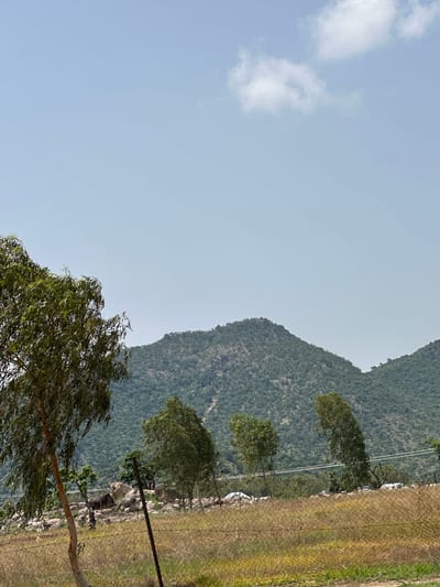 The image depicts a view of a forested mountainside, with a clear blue sky and some scattered clouds. The mountain is covered in dense green vegetation, suggesting a natural, possibly rural or remote location. In the foreground, there is a large tree with wispy leaves, adding depth to the scene. To the right, a wire fence runs along a grassy area, with a single utility pole and wires visible, indicating some human presence or infrastructure. The lighting suggests it is daytime, with bright sunlight casting shadows. The scene is peaceful and natural, with no visible people or specific activities taking place. There is no visible text in the image. The location context of Lankoviri, Nigeria, implies a tropical or subtropical environment consistent with the lush vegetation.