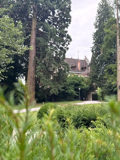 The image captures a view of a stately building with a pitched, dark roof and multiple chimneys, set amidst lush greenery and mature trees. The architecture suggests a historical or grand residence. In the foreground, blurred green foliage creates a natural frame for the scene. A paved pathway winds through the grounds, leading towards the building. A lamppost stands beside the path, and a person in casual attire is visible near the entrance, appearing to be walking away from the camera. Bicycles are parked near the lamppost. The sky is overcast, indicating a cloudy day. The environment is serene and park-like, likely a garden or estate within the city of Kreuzlingen, Switzerland.
