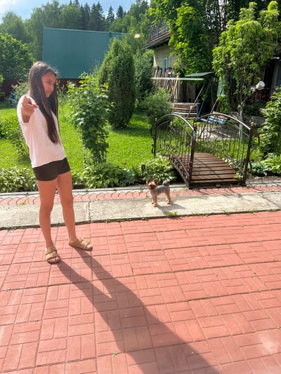 A young woman stands on a red brick patio, pointing towards the viewer with her left hand. She is wearing a white t-shirt and dark shorts, with tan sandals on her feet. Her long, dark hair is loose around her shoulders. To her right, a small, tan Yorkshire terrier stands on a concrete pathway, looking at the camera. Behind the dog is a decorative metal bridge with a wooden walkway. The scene is set in a garden with lush green grass, trees, and a house with a green roof in the background. The location is identified as Chusovoy, Russia.