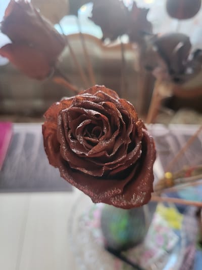 A close-up, shallow depth-of-field, dimly lit, eye-level shot focuses on a single, dark red, dried rose. The rose petals appear to be dusted with glitter or frost. The background is blurred and indistinct, suggesting an indoor setting. Elements visible in the blurred background include what appear to be other dried flowers, stems, and possibly decorative items or a vase. The lighting is soft and diffused, with some brighter areas in the upper background that could indicate a window or light source. There are no people or overt actions depicted in the image. The scene is static and appears to be a still life arrangement. The location of Belaazyorsk, Belarus, is not evident from the visual information in the image.