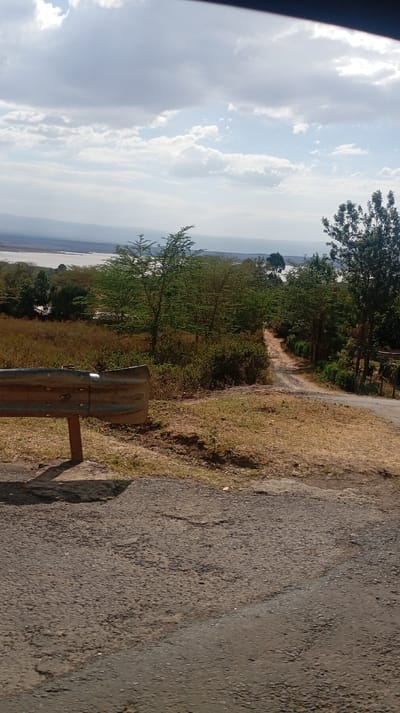 A weathered asphalt road descends, bordered by dry grasses and scrub vegetation. A rusty guardrail stands to the left. The landscape opens to a distant body of water under a partly cloudy sky. A dirt path leads away from the paved road, flanked by trees and bushes. The terrain is uneven, suggesting a rural or mountainous area. The color palette is dominated by muted browns, greens, and blues.