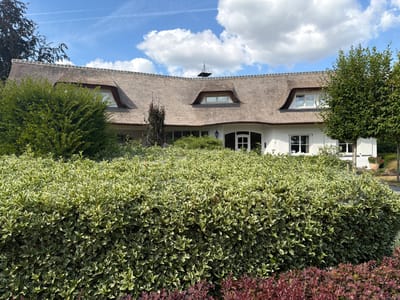 A thatched-roof house with white siding is visible behind a dense hedge of variegated green and white leaves. The house has dormer windows on the roof and white-shuttered windows on the facade. A decorative weathervane sits atop the highest peak of the roof. Trees frame the right side of the house, and a dark red shrubbery is in the foreground. The sky is blue with scattered white clouds. The location is Melick, Netherlands.