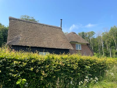 The image captures a rustic scene featuring a thatched-roof house on a sunny day. The house has a dark wooden facade on the left side and red brick on the right, with a prominent thatched roof that appears well-maintained. A black chimney pipe extends upwards from the roof. In front of the house, a dense green hedge forms a barrier, with some taller grasses and white wildflowers growing in the foreground. Behind the house, a line of trees creates a natural backdrop under a clear blue sky with a few wispy clouds. The overall impression is one of rural tranquility, possibly in a suburban or countryside area. While the image is said to be located in Horsens, Denmark, this specific detail cannot be visually confirmed from the provided image content.