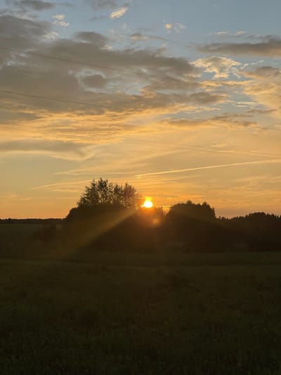 A sunset is captured over a field in Perevoznoe, Russia. The sun, a bright orb, is partially obscured by a cluster of trees, casting long rays of light across the scene. The sky is a blend of orange, yellow, and blue, with scattered clouds and contrails. In the foreground, a dark field of grass stretches towards a line of trees on the horizon. Power lines are visible across the top of the image.