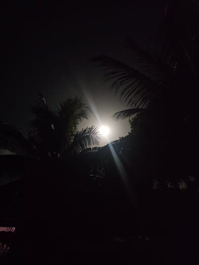 A nighttime photograph taken in Islamorada, Florida, United States of America, features a bright, hazy moon or artificial light source partially obscured by the dark silhouettes of palm tree fronds. The light emanates a strong glare with visible light streaks radiating outwards, suggesting it is either a very bright moon through atmospheric conditions or a powerful light source. The overall scene is dark, with the foreground and most of the background rendered in deep shadows, emphasizing the luminous quality of the central light.