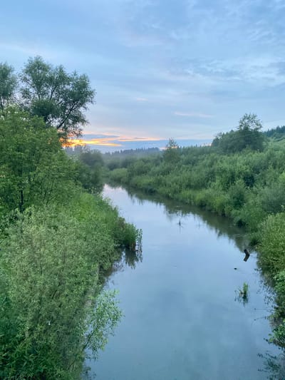 The image depicts a tranquil natural scene, likely at dawn or dusk, given the soft, diffused light and the presence of the setting or rising sun on the horizon. The location is identified as Baklushi, Russia.
The primary subjects are a river and its surrounding lush vegetation. The river, which appears calm and reflective, occupies the right and central portions of the frame. Its surface mirrors the overcast sky and the dense green foliage that lines its banks. Floating on the water are a few scattered pieces of debris, including a piece of wood.
The riverbanks are densely covered with a variety of green trees and shrubs, creating a natural, wild atmosphere. On the left side of the image, a large tree with leafy branches is prominent, reaching towards the sky. The sky itself is a pale blue, with wispy clouds, indicating a temperate or cool weather condition. The hint of orange and yellow light near the horizon suggests the sun is low in the sky, painting a gentle gradient of colors.
There are no people or specific objects that indicate a particular activity or event. The scene evokes a sense of peace and serenity, typical of a quiet natural landscape. The overall impression is one of untouched nature, with the river flowing through a verdant, overgrown setting. There is no visible text in the image.