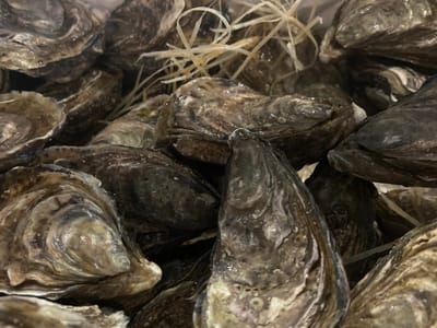 A close-up, high-angle shot depicts a dense, disarrayed pile of fresh oysters, filling the entire frame. The oysters, in their natural, closed shells, vary in size and exhibit a rugged texture with hues ranging from dark grey and brown to off-white, showcasing concentric growth lines and natural markings. Thin, light-colored, fibrous strands, resembling straw or dried seaweed, are interspersed throughout the pile, particularly visible in the upper and central areas, suggesting a display or packaging method. No individuals are present. The scene indicates an indoor environment, consistent with a seafood market stall or restaurant display in the city of Santander, Spain.