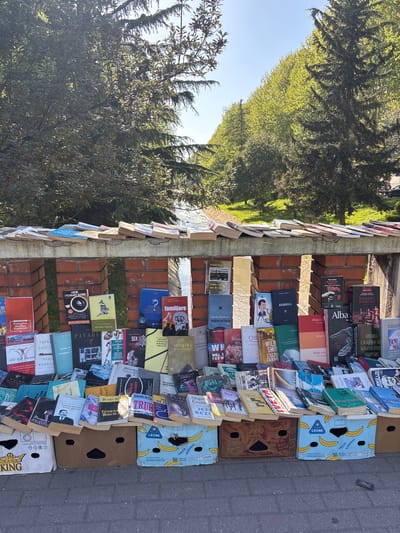 The image depicts an outdoor book market in Tirana, Albania. Books are displayed on brick walls and in banana boxes labeled "FRESH BANANAS" and "LEONE," arranged along a sidewalk. Trees line the opposite side of the sidewalk. The books appear to be a mix of Albanian literature, textbooks, and other genres. The lighting suggests it is daytime.