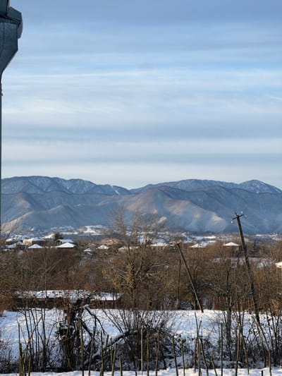 A winter scene shows snow-dusted mountains under a pale blue sky with streaky clouds. Bare trees and snowy ground occupy the foreground, with glimpses of rooftops suggesting a small town nestled near the mountains. A utility pole stands out amidst the trees.