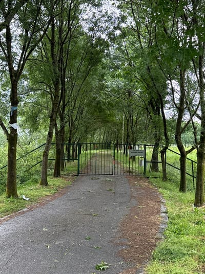 The image depicts a tree-lined pathway leading to a closed metal gate. The pathway is paved with asphalt and curves slightly to the right. Trees flank both sides of the path, creating a canopy of green foliage overhead. A metal fence runs parallel to the path on either side, with the gate serving as a barrier across the pathway. A sign is visible on the gate. Debris, including fallen leaves and twigs, litters the pathway. The scene is located in Bijelo Polje, Montenegro.