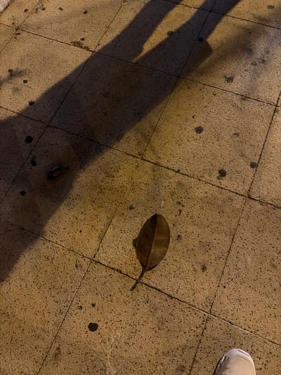 The image shows a close-up, high-angle view of a sidewalk composed of large, square, tan-colored tiles with dark flecks. The sidewalk is illuminated by artificial light, casting long, dark shadows that suggest the presence of people or objects casting them. In the center of the frame, a single, dry, brown leaf rests on the tiles. Several dark, circular spots, possibly stains or small pieces of debris, are scattered across the surface. The bottom right corner of the image shows the toe of a light-colored sneaker. The scene appears to be outdoors, likely in a public area. The image does not provide specific details to pinpoint its location within the city of Ibiza, Spain, beyond it being a paved outdoor space.