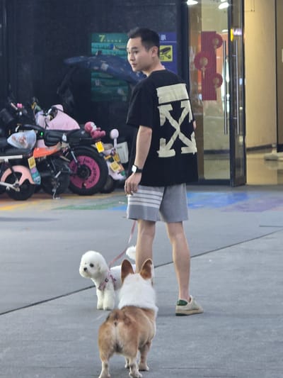 The image shows a person walking two dogs on a sidewalk in Linping District, China. The person is wearing a black t-shirt with a white graphic logo and grey shorts. They are holding leashes for a white dog and a corgi. The dogs are walking ahead of the person. In the background, there is a storefront with merchandise displayed inside. A shopping cart filled with various items, including bags and possibly baby supplies, is also visible. The scene appears to be outdoors during the daytime, with the lighting suggesting it could be afternoon or early evening. The overall mood is casual and everyday, with the person enjoying a walk with their pets. A sign with Chinese characters is visible on a pillar in the background.