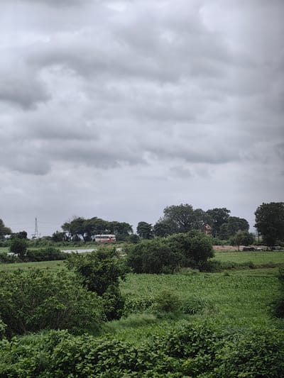 The image depicts a cloudy day in the city of Timarni, India. In the background, a white and red bus is visible driving on a road, with trees lining the roadside. To the left of the road, a tall electrical tower stands against the overcast sky. The foreground is dominated by lush green fields and dense vegetation, suggesting a rural or semi-rural setting. The overall atmosphere is subdued due to the cloudy weather.