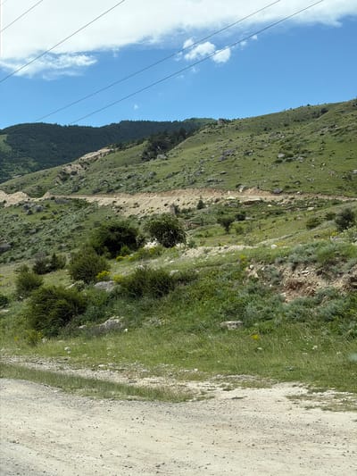 The image depicts a rural landscape with rolling green hills under a bright blue sky with scattered white clouds. A dirt road winds its way up the side of a hill, with exposed soil and rocks along its path. Various types of vegetation, including grass, bushes, and some scattered trees, cover the slopes. Power lines are visible stretching across the top of the frame. The scene appears to be a natural, undeveloped area. No people or specific structures are visible, making it impossible to pinpoint a location within Zintsar, Russia based solely on this image.