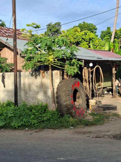 In Meukokuthang, Indonesia, an outdoor scene captures a rural roadside with a modest structure, possibly a workshop or small shop. The building has a corrugated metal roof, part of which is rusted red and weathered gray. Adjacent to it, a concrete wall, stained and aged, stands as a boundary. A papaya tree with green leaves and yellowing fruit is positioned in front of the wall, its trunk thin and leaning. Lush green vegetation grows densely along the base of the wall and the roadside.

Dominating the foreground is a massive, worn tire, its black rubber deeply treaded and marked with bold strokes of red paint. To the right of the tire, the entrance of the structure reveals a utilitarian space. Two coiled ropes, light brown and thick, hang from a support beam. A bright, bare lightbulb illuminates the interior, casting a soft glow. Various objects are visible within, including what appears to be a green vehicle or large piece of equipment, stacked tires, buckets, and other unidentifiable items, suggesting a place of repair or storage. The ground is a mix of dirt and gravel, with some litter scattered about. The sky above is a pale blue, indicative of daylight. No people are visible in the frame.