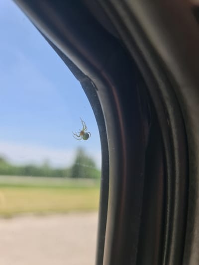 A small green and yellow spider is clinging to a window, likely in a vehicle, with a blurred background of a green field and a blue sky. The spider is positioned in the upper left quadrant of the image, facing left and slightly upwards. Its legs are spread out, and its body is curved. The window appears to be smudged with dirt or dust. The interior of the vehicle, a dark, curved structure, takes up the right side of the frame. The scene is likely taking place during the daytime. The location in Brocēni, Latvia is not discernible from the image.