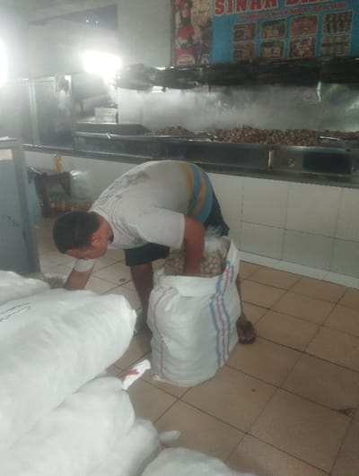 An indoor scene, likely a food preparation or market area in Baleendah, Indonesia, depicts a man engaged in handling bulk goods. The man, wearing a light-colored t-shirt with blue and yellow stripes, dark shorts, and flip-flops, is bent over a large white sack, actively filling it with numerous small, light-colored, round items, possibly nuts or seeds. His hands are inside the sack, indicating the transfer of contents.

On the tiled floor to the left, several other large white sacks are visible, suggesting storage or processing of similar items. The sack the man is filling is distinct with its blue and red stripes.

In the background, a long metal counter or cooking station spans the scene. A wide tray on this counter is filled with a large quantity of small, brownish, round items, possibly peanuts, indicating a food business. Above the counter, metal racks or skewers are present. A bright light source in the upper left creates a slight glare.

On the wall above the counter, a sign or poster is visible, featuring an illustration of a woman. The word "SINAR" is prominently displayed in red lettering, followed by partially legible Indonesian text below. The man appears focused on his task within this commercial setting.