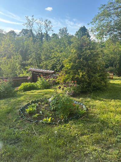 The image depicts an outdoor scene in Ravnishte, Bulgaria. Lush green grass covers the ground, transitioning into a more cultivated garden area bordered by plastic scalloped edging. Various plants and flowers are present, including some with red and purple blooms. A small, rustic wooden structure with a tiled roof stands amidst the foliage. The background consists of dense trees, with a glimpse of a blue sky with scattered clouds visible above. The scene conveys a sense of tranquility and natural beauty.