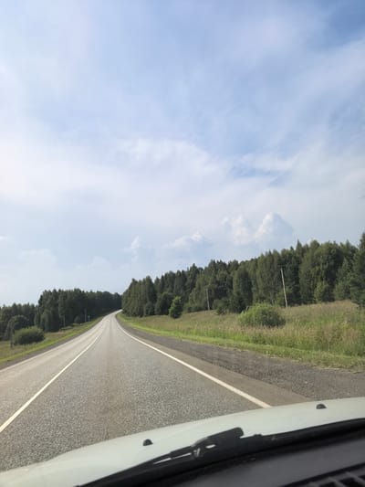 A perspective shot from inside a vehicle shows a two-lane asphalt road winding through a forested area. The road is marked with white lines. On either side of the road, there are grassy shoulders and dense green trees. The sky above is partly cloudy with white and gray clouds. The location is identified as Bolshaya Usa, Russia.