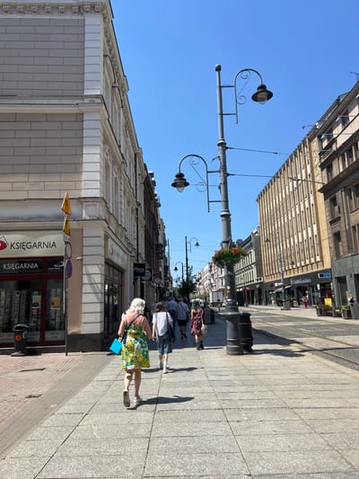 This is a vertically oriented, eye-level, full-shot image taken on a bright, sunny day, likely in the afternoon given the long shadows cast across the paved pedestrian walkway. The scene depicts a European street lined with multi-story buildings. These buildings feature classic architectural elements, including ornate facades, rows of windows, and detailed cornices.
The street is bustling with people walking in both directions. In the foreground, a woman with white hair is walking away from the camera, wearing a floral dress and carrying a blue bag. Several other individuals, dressed in casual summer attire, are also visible in the mid-ground and background, suggesting a leisurely day outdoors.
Street lamps with decorative curved arms are prominent features along the walkway, one of which has a basket of flowers hanging from it. The ground is paved with large, grey rectangular stones, arranged in a grid pattern.
Several signs are visible, indicating businesses and street information. These include "KSIĘGARNIA" (bookstore), "iPhone STUDIO," and a sign for "TEATR" (theater). Traffic signs are also present, including a speed limit sign of "30 m". The overall impression is that of a lively, urban environment on a pleasant day.