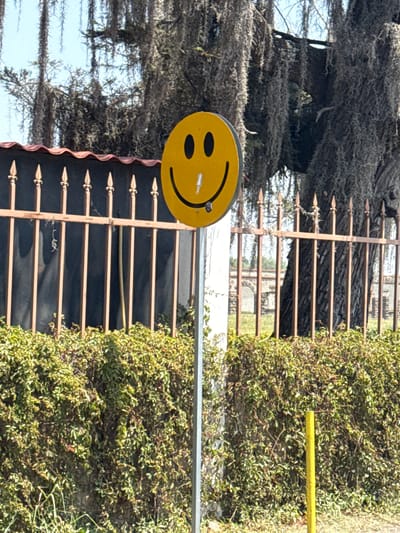 A yellow smiley face sign is attached to a metal pole in front of a metal fence. The fence is located in front of a green hedge. A tree is visible in the background. The location is Santa Ana Portales, Mexico.