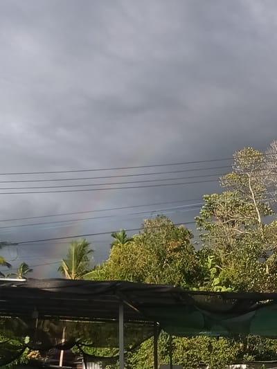 The image shows a partially obscured view of a muted rainbow arc beneath overcast skies in Moo 4, Thailand. The rainbow is visible between power lines and above a lush canopy of trees, including what appears to be a coconut palm. A dark, possibly makeshift, structure with a roof-like covering, likely a shelter or workspace, occupies the foreground. The overall scene suggests a humid, potentially rainy environment.