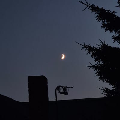 A crescent moon hangs in a twilight sky above a dark silhouette of a roofline. A brick chimney stands to the left of the frame, and a branch of a pine tree is visible on the right. A detached, metal structure, possibly a swing set frame without swings, is perched on the roof. The scene is set in Новостройка, Russia.