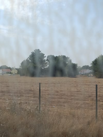 The image depicts a scene in Pinhal Novo, Portugal, on a day with hazy, overcast skies. In the foreground, a wire fence runs horizontally across the frame, separating a dry, grassy field from the area beyond. The field is covered in dry, brown vegetation, with some white wildflowers and seed heads visible closer to the fence.

Behind the field, a line of trees, primarily pine trees, forms a dense cluster. A noticeable plume of smoke rises from the trees, obscuring some of the background and suggesting an ongoing event. In the middle ground, several houses with distinctive red-tiled roofs are visible, peeking through the smoke and trees. One house appears to be light yellow, and another is white. A silver car is parked in front of the yellow house. To the far right, another house with a red roof is visible, partially obscured by trees. The overall atmosphere is subdued due to the hazy sky and the presence of smoke, which could indicate a controlled burn or a wildfire. The time of day appears to be daytime, given the ambient light, but the overcast conditions make it difficult to determine the exact hour.