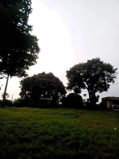 The image depicts a grassy field in Kudawa, Sri Lanka. Several trees are visible, silhouetted against a bright, overcast sky. A small wooden structure sits beneath one of the trees. A concrete building is partially visible on the right side of the frame, along with a scooter. The grass in the foreground is green and appears to be recently cut. No people are visible.