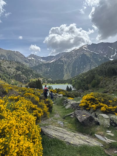The image depicts a mountainous landscape in Porté-Puymorens, France. An adult figure with a red-strapped backpack and a child in dark clothing are walking away from the viewer on an unpaved trail. The trail winds through dense clusters of bright yellow flowering shrubs, which dominate the foreground and extend into the mid-ground. Numerous rocks and boulders, some covered in lichen, are scattered alongside the path. A distinct yellow rectangular trail marker is visible on a dark rock in the lower-right quadrant.

In the mid-distance, a light blue-green lake is situated within a valley, bordered by evergreen trees. Beyond the lake, a mountain range rises, featuring forested lower slopes and rocky upper reaches with patches of snow. The sky above is partly cloudy, displaying both clear blue areas and large, white and grey cumulus clouds.