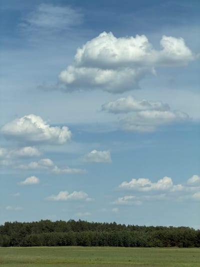 The image depicts a landscape scene. The upper portion of the image features a blue sky with scattered white clouds of varying sizes and densities. Below the sky is a dense band of dark green trees, forming a forest line that stretches across the horizon. In the foreground, a field of green grass is visible, with subtle variations in tone and texture suggesting uneven terrain or different types of grass. The overall impression is one of a natural, rural environment under a partly cloudy sky. The location is identified as Тэльмінскі сельскі Савет, Belarus.