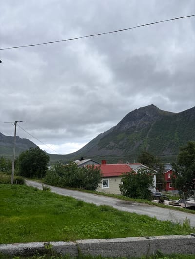 The image captures a view in Gryllefjorden, Norway, under an overcast sky. A paved road curves through the foreground, flanked by lush green grass. In the middle ground, several houses are visible, characterized by red and light-colored roofs. A prominent house with a red roof and light-colored siding stands out. Beyond the houses, dense green trees and vegetation cover the lower slopes of a large, rugged mountain that dominates the background. The mountain's peak is shrouded in clouds, and its rocky, verdant terrain suggests a wild, natural environment. A utility pole with a light fixture is positioned on the left side of the road, with power lines extending across the frame. The scene conveys a sense of rural tranquility within a dramatic mountainous landscape.