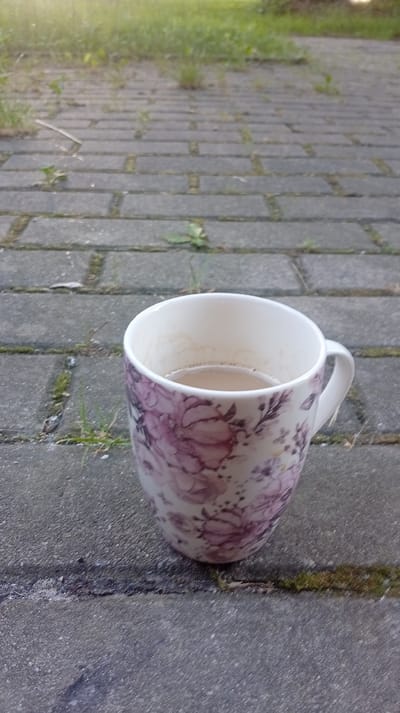 A coffee mug sits on a paved surface with grass growing in the cracks between the paving stones. The mug is white with a floral pattern of purple and pink flowers. The paving stones are rectangular and grey. In the background, more grass is visible, with some blurred green foliage. The image is taken outdoors, likely in a park or garden. There are no people or animals in the image. The scene is calm and still. The location in Karviná, Czechia is not discernible from the image itself, but it depicts a common outdoor setting found in many cities.