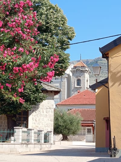 The image depicts a street scene in Trebinje, Bosnia and Herzegovina, with a focus on a building facade and surrounding vegetation. In the foreground, a bright yellow building occupies the right side of the frame, casting shadows onto the paved ground. To the left, a stone building with a green metal fence and a large tree with pink flowers dominates the scene. Behind these, a church tower with a red tiled roof and arched windows is visible, topped with a spire. The sky is clear and blue, with mountains in the background. The scene is tranquil and appears to be a quiet urban area bathed in sunlight.