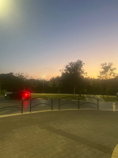 This image captures a sunset scene in the city of Hof HaCarmel Regional Council, Israel. The sky displays a gradient of colors, transitioning from a light yellow and orange near the horizon to a soft blue and purple higher up. Silhouetted trees form a dark line against the colorful sky. In the foreground, a paved area with interlocking bricks is visible. A street with a crosswalk and a decorative black metal fence separates the paved area from the background. A dark-colored car with its red taillights illuminated is in motion on the street, blurring slightly due to its movement. A single lamppost stands among the trees in the background, emitting a warm light.