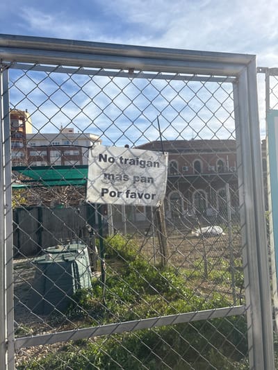 The image displays a weathered white sign attached to a galvanized metal chain-link fence, centrally positioned in the foreground. The sign, secured by black zip ties, features three lines of black capital text: "No traigan mas pan Por favor" (Do not bring more bread Please).
Behind the fence, an outdoor area with sparse vegetation and bare earth is visible. To the left, a dark green, rectangular compost bin or similar container rests on the ground. Adjacent to this, a section of slatted fencing or an enclosure made of vertical slats is partially obscured by dry branches. Further to the right and deeper into the area, a white, elongated object lies on the ground.
In the background, under a partly cloudy blue sky, several buildings are present. To the far left, the upper floors of a multi-story residential building with light-colored facades are visible. To the right, a larger, older building with a red tiled roof and multiple arched windows, indicative of an institutional or historical structure, dominates the mid-ground. The scene is illuminated by bright natural daylight.
This specific location is in the city of Alcoi / Alcoy, Spain.