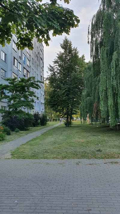 The image shows a residential building on the left, with a paved walkway leading past a grassy area with trees. A person is walking away from the camera on the walkway. The building appears to be a typical Soviet-era apartment block. The trees include a large deciduous tree and a weeping willow on the right. The setting is consistent with an urban residential area in Salihorsk, Belarus.