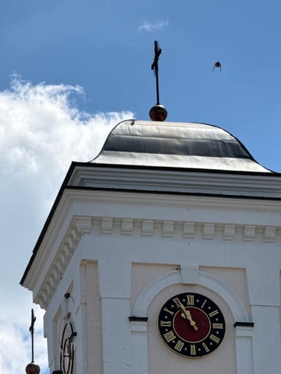 The image, taken from a low angle looking up, shows the top section of a white church tower against a bright blue sky with scattered white clouds. The tower has architectural details, including decorative molding and square protrusions along its facade. A clock face with Roman numerals and golden hands is prominently displayed on the tower. The hands indicate the time is approximately 3:40. The clock face has a dark background with Roman numerals and intricate detailing.

To the left of the clock, a metallic spire with a spherical finial extends upwards. Slightly above and to the left of the spire, a small bird is captured mid-flight, its wings outstretched. The metallic roof of the tower is visible on the left side of the image, reflecting the sunlight. The overall scene suggests a clear day, likely daytime, given the bright sky and sunlight. The location context provided is Nemyriv, Ukraine. There is no visible text in the image. The perspective gives a sense of the grandeur of the church tower.