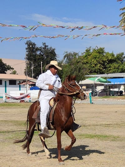 A man in traditional white clothing and a straw hat is riding a brown horse in an open area, possibly a parade ground or equestrian venue. The horse is trotting forward, its front left leg raised. In the background are buildings, tents, and trees, with colorful streamers strung above. A sign visible in the background reads "Ceviche Campestre Cordero Candarave". The location is likely in Tacna, Peru.