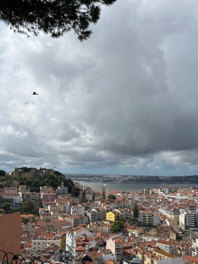 The image shows a view of the city of Lisboa, Portugal from a vantage point on a hill. The coordinates provided (38.719, -9.133) place the location near the Castelo de São Jorge, a historic castle in the Alfama neighborhood of Lisbon.
The image captures a panoramic view of the city's rooftops and buildings, stretching towards the Tagus River in the distance. The sky is predominantly covered in grey clouds, creating a dramatic contrast with the cityscape. A single bird is visible flying across the frame, adding a sense of scale and movement.
A small section of the Castelo de São Jorge is visible in the foreground, with its green vegetation contrasting with the terracotta rooftops and yellow-toned walls of the surrounding buildings. The cityscape extends towards the river, with various buildings, including a few taller structures, visible in the distance. The river itself is visible in the background, with a slight haze obscuring the opposite shore.