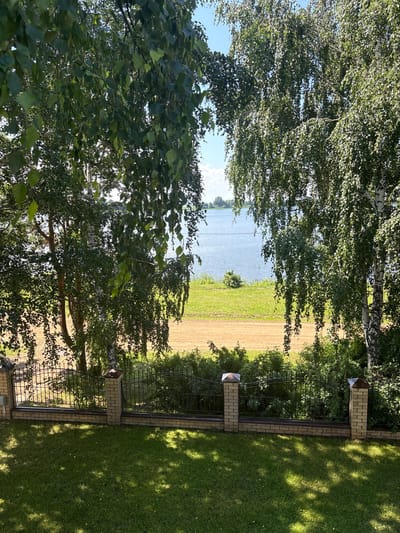This image depicts a view of a lake through the foliage of trees, with a fence and lawn in the foreground. The scene is likely located in or around the city of Elovo, Russia, given the context.

In the foreground, a neatly mown green lawn is visible, with dappled sunlight casting shadows from the trees above. A low fence, constructed of brick pillars and a metal railing, separates the lawn from a patch of tan-colored ground. Behind this, dense green foliage can be seen.

The middle ground features a body of water, a lake, which appears calm and blue. The shoreline of the lake is lined with green grass and some scattered bushes. The distant shore is visible as a low, green line under a bright blue sky with a few white clouds.

The trees framing the view on either side are lush and green, with their branches and leaves dominating the upper portion of the image. One of the trees appears to be a birch tree, characterized by its white bark. The leaves are dense and create a natural screen, partially obscuring the view of the lake and sky. The overall impression is a tranquil, natural setting on a sunny day. There are no people or animals visible in the image.