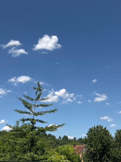 The image captures a view of a clear blue sky with scattered white clouds above a landscape of green trees and rooftops. In the foreground, a tall, slender tree with sparse, branch-like foliage extends upwards towards the sky. Behind it, a dense canopy of lush green trees dominates the mid-ground, interspersed with the terracotta roofs of buildings. To the right, larger, mature trees with fuller canopies are visible. The scene appears to be an outdoor setting, likely residential, given the presence of houses and trees. The lighting suggests it is daytime, with bright sunlight casting shadows and illuminating the clouds. The specific location is Bietigheim-Bissingen, Germany.