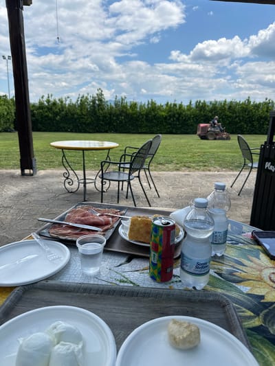 The image depicts an outdoor dining scene, likely a picnic or casual meal, set in Capaccio Paestum, Italy. A table with a sunflower-patterned tablecloth holds a tray laden with food and beverages. Plates contain what appears to be cheese (possibly mozzarella and ricotta), prosciutto, and focaccia. A can of Coca-Cola and several bottles of Santo Stefano water are also visible. Plastic cutlery and cups suggest an informal gathering.

In the background, a lawn mower is operating on a grassy field, bordered by a hedge of trees. Black wrought iron chairs and a small table are nearby. The sky is blue with puffy white clouds. The setting appears to be a park or garden area.