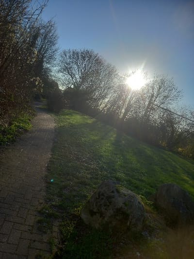 This image depicts an outdoor scene in Sallaumines, France, featuring a brick-paved pathway and a grassy slope under a clear sky with a low sun. The pathway, constructed of reddish-brown pavers, extends from the lower-left foreground, curving towards the upper-left of the frame. To the right of the path, a green grassy incline rises. A bright sun, positioned in the upper-right quadrant, generates significant lens flare and backlights a dense line of leafless deciduous trees, casting long shadows across the grass. Two large, irregularly shaped grey rocks, with visible patches of moss, are located in the lower-right foreground. No individuals or animals are present in the scene.